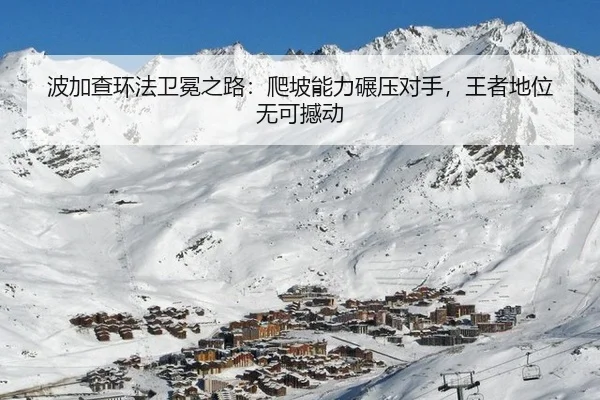 bo-jia-cha-huan-fa-wei-mian-zhi-lu-pa-po-neng-li-nian-ya-dui-shou-wang-zhe-di-wei-wu-ke-han-dong-3-350.jpg