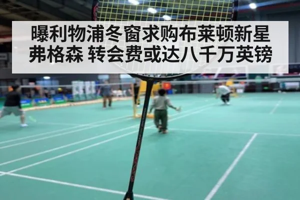 曝利物浦冬窗求购布莱顿新星弗格森 转会费或达八千万英镑